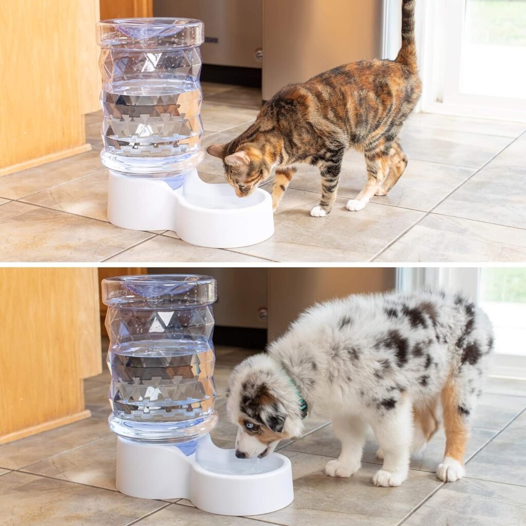 PetFusion H2O Gravity Pet Water Dispenser. Durable 2.5 Gallon Water Feeder. Automatic Water Station for Cats  Small, Medium, Large Dogs, Transparent (PF-GW1)